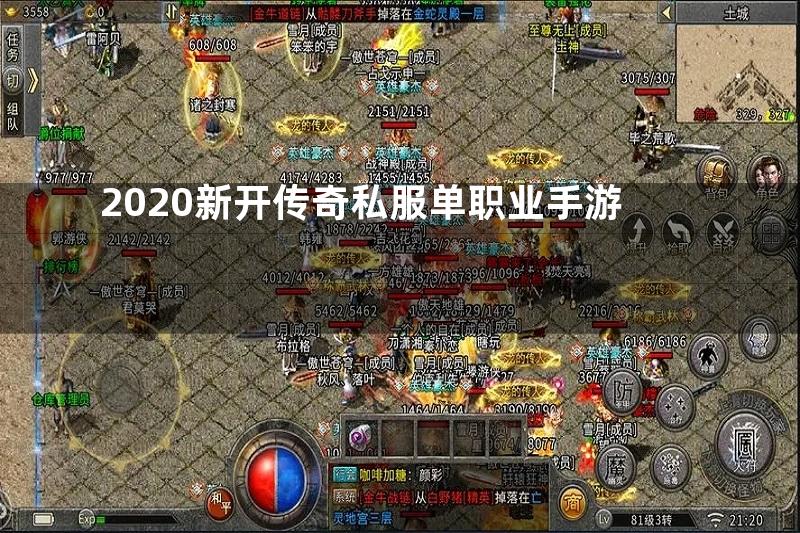 2020新开传奇私服单职业手游