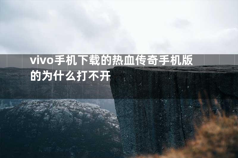 vivo手机下载的热血传奇手机版的为什么打不开