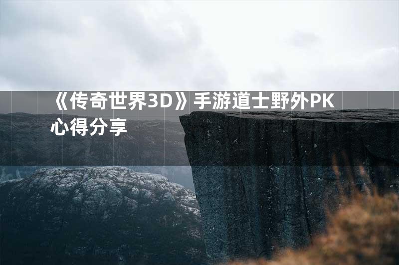 《传奇世界3D》手游道士野外PK心得分享