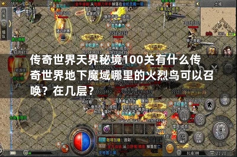 传奇世界天界秘境100关有什么传奇世界地下魔域哪里的火烈鸟可以召唤？在几层？