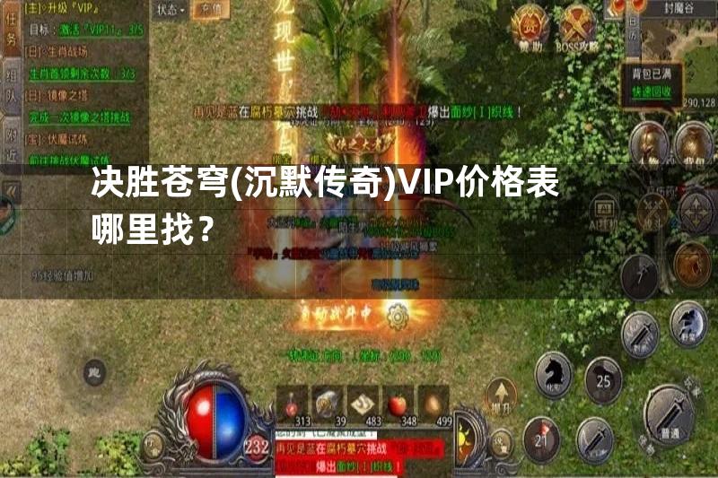 决胜苍穹(沉默传奇)VIP价格表哪里找？