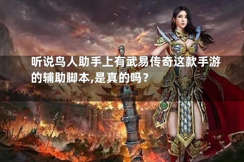 听说鸟人助手上有武易传奇这款手游的辅助脚本,是真的吗？