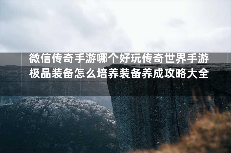 微信传奇手游哪个好玩传奇世界手游极品装备怎么培养装备养成攻略大全