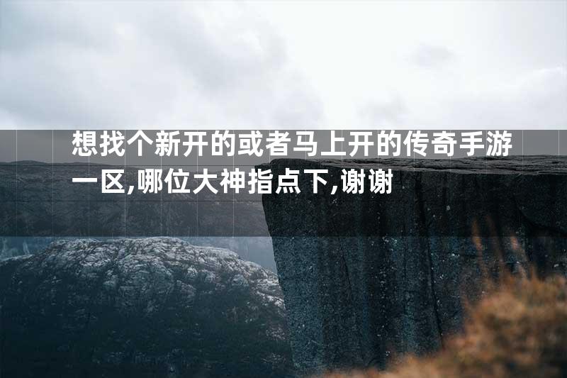 想找个新开的或者马上开的传奇手游一区,哪位大神指点下,谢谢