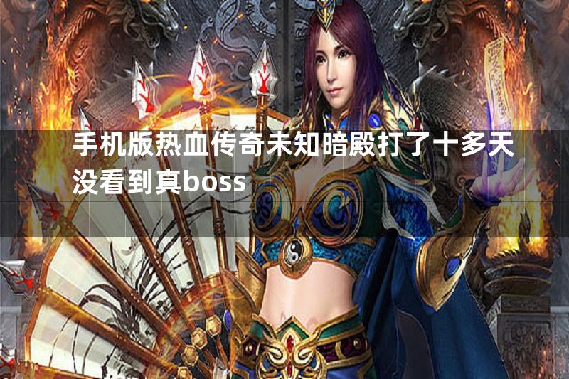 手机版热血传奇未知暗殿打了十多天没看到真boss