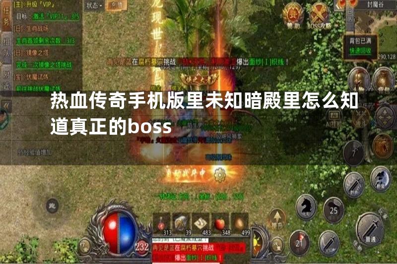 热血传奇手机版里未知暗殿里怎么知道真正的boss