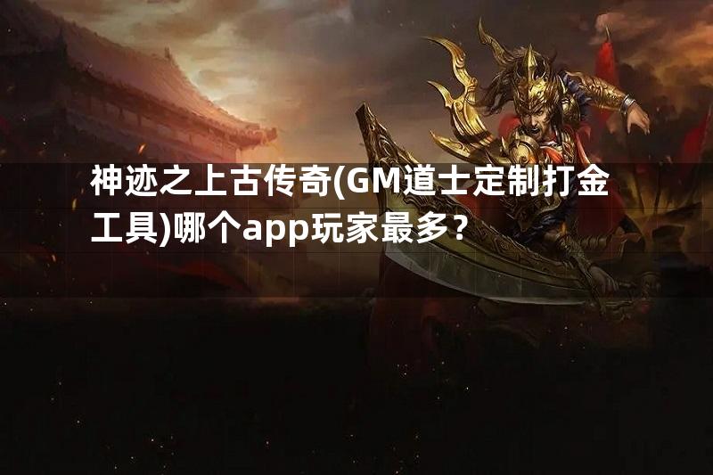 神迹之上古传奇(GM道士定制打金工具)哪个app玩家最多？