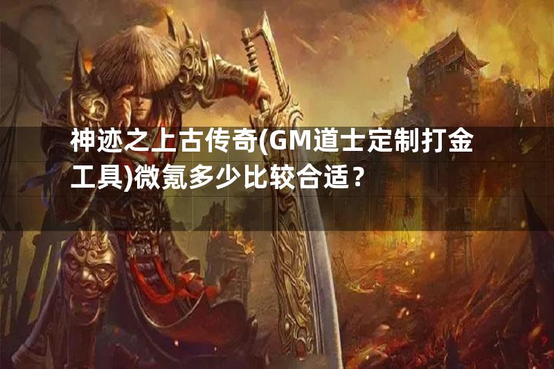 神迹之上古传奇(GM道士定制打金工具)微氪多少比较合适？