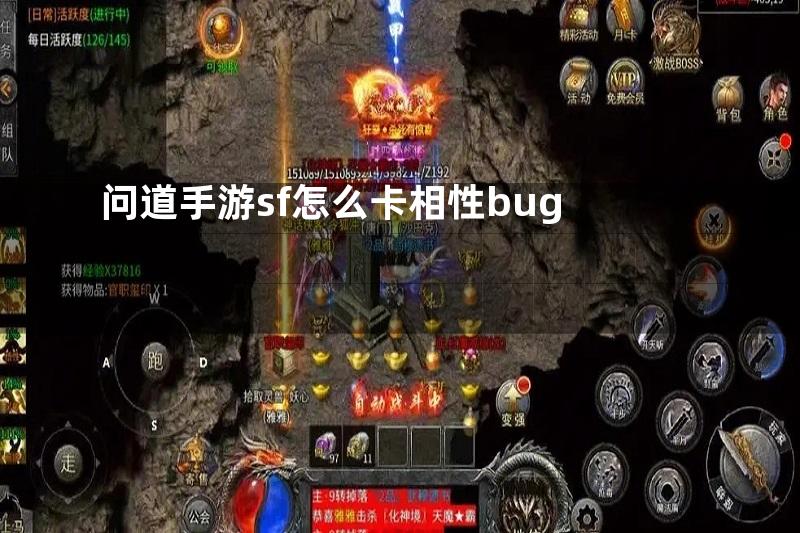 问道手游sf怎么卡相性bug